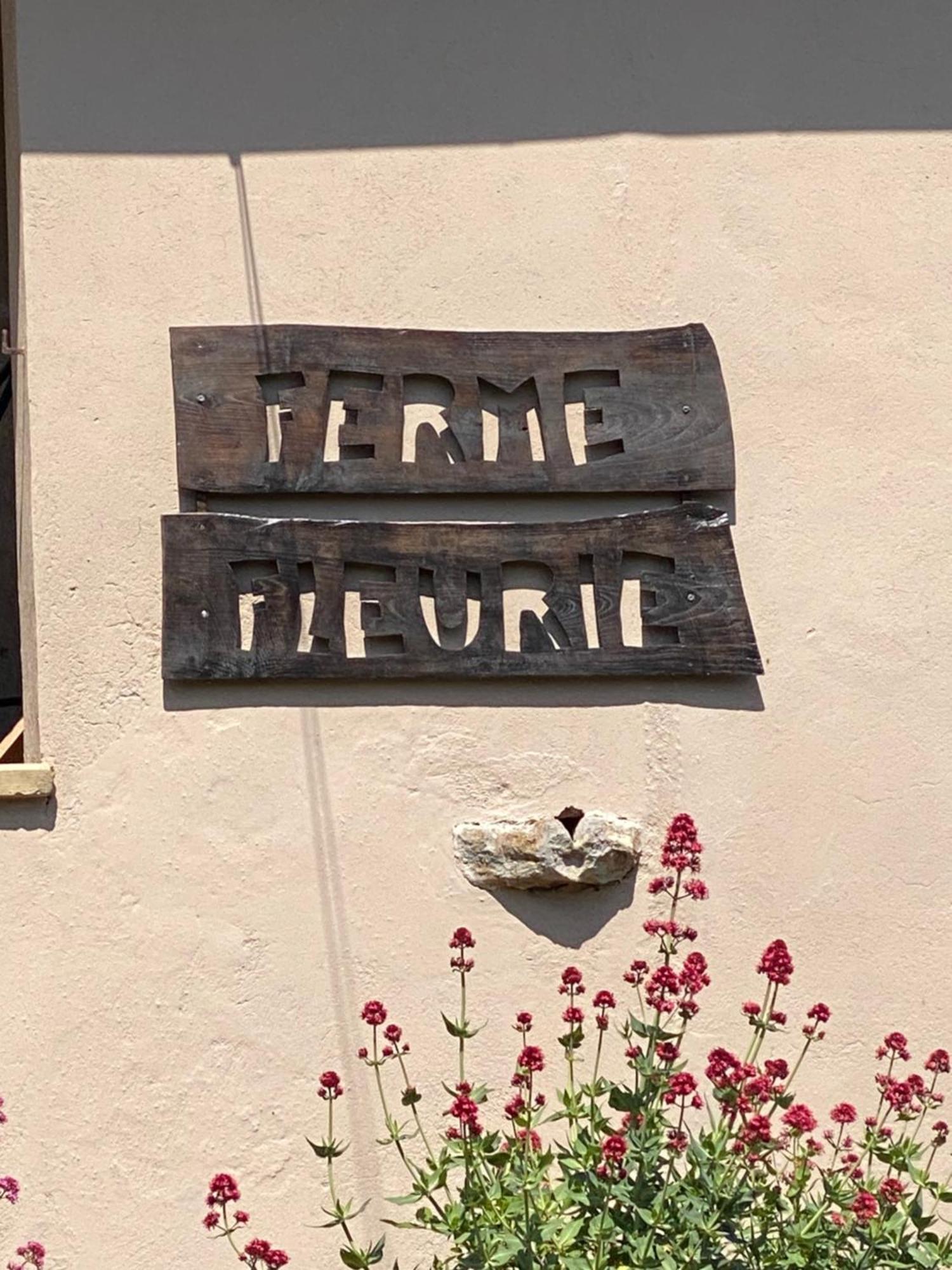Ferme Fleurie Bed & Breakfast Bergesserin Exterior photo
