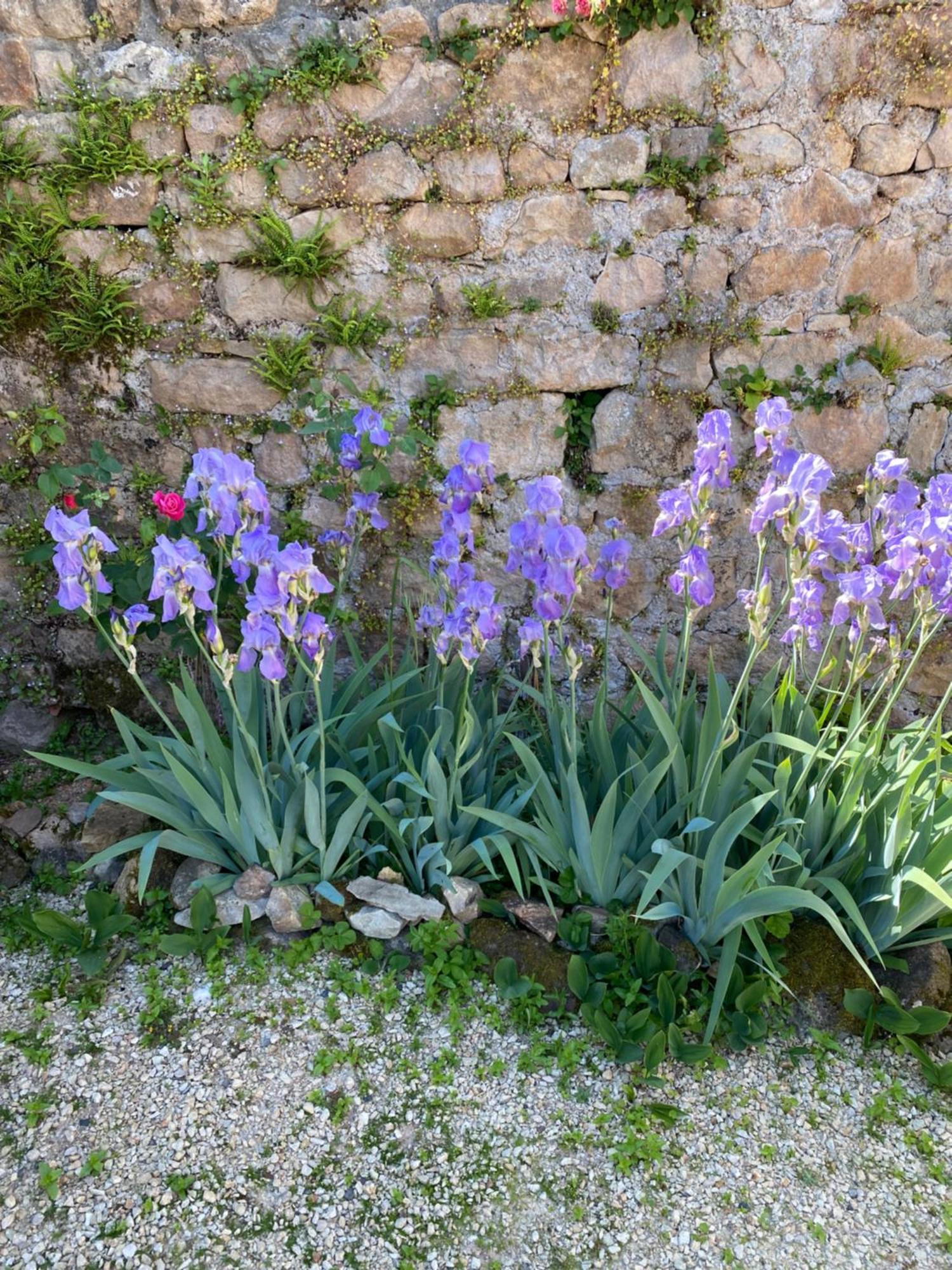 Ferme Fleurie Bed & Breakfast Bergesserin Exterior photo