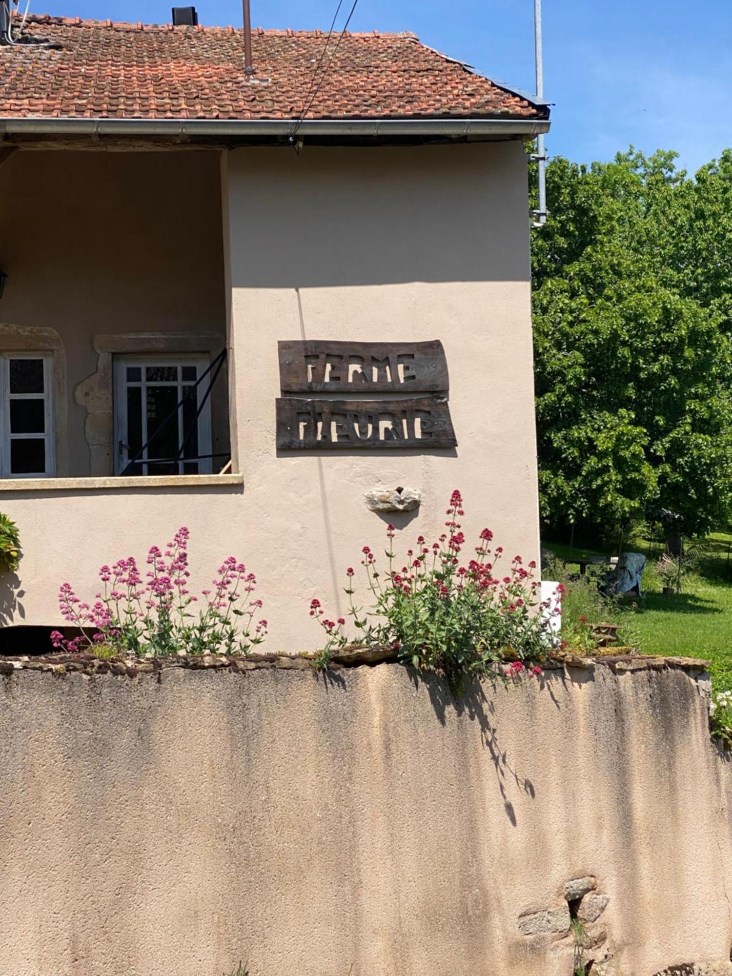 Ferme Fleurie Bed & Breakfast Bergesserin Exterior photo